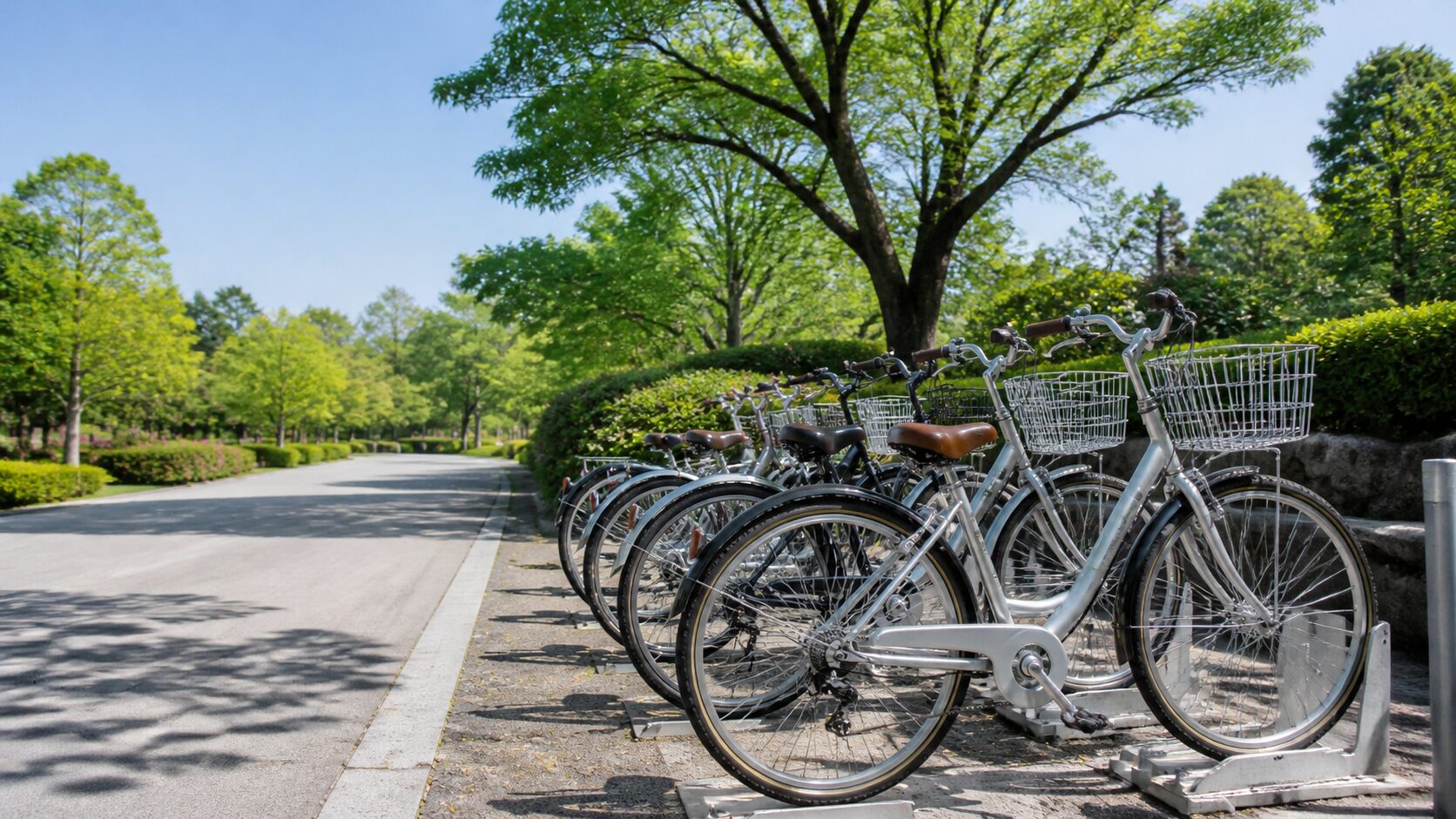 安全に自転車を楽しむ女性を表すイメージ画像